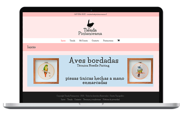 sitio-web-tienda-pintanorama